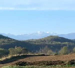 Roulotte et Nature - Lapenne