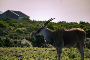 Solar-Powered Oceanview Retreat- 131 Cormorant