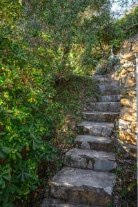 Villas LA VILLA avec vue panoramique sur la Mer - Parking prive - Jacuzzi : photos des chambres