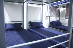 Fostel- The Fort Hostel