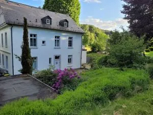 Ferienwohnung Landidyll, Whirlpool, Minipigs, Ponys, Familien - Schalksmühle