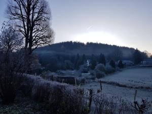 Ferienwohnung Landidyll, Whirlpool, Minipigs, Ponys, Familien