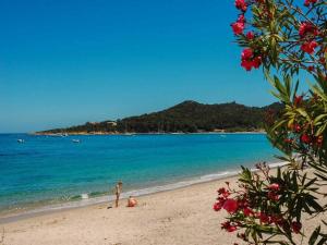 Campings Chalet 3 etoiles - eeicci : photos des chambres