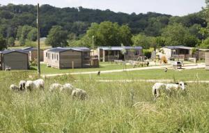 Campings Camping 4 etoiles - Piscine - eeicab : photos des chambres