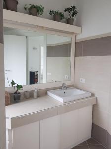 Roma - Casalpalocco - Amipsia
