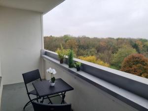 Apartments in Hattersheim