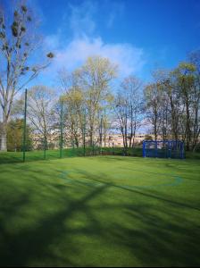 Appartements Appart F3 Cosy proche Paris-Orly-Saclay : photos des chambres
