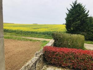 Maisons de vacances Ambre a la Rochelle : photos des chambres