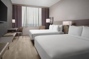 Queen Room with City View room in AC Hotel By Marriott Orlando Downtown
