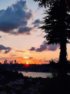 a beautiful house on the Near the Bosphorus in Istanbul wonderful garden