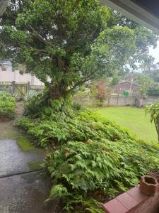 Warners Guesthouse