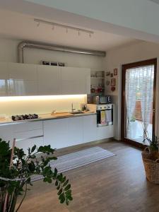 B&B casa Orsingher a 2 passi da Belluno