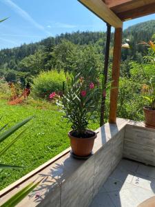 Privat Zimmer Sanela