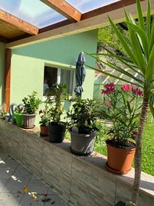 Privat Zimmer Sanela