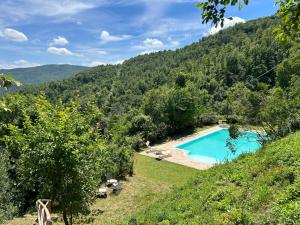 Il Castellare con alpaca