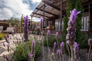 Finca Jardín del Norte