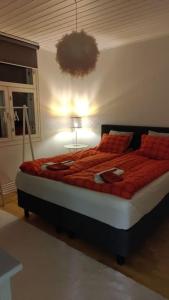 Traditional Santas cosy home