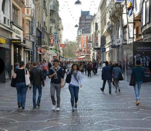 Appartements Le petit paradis de Lille : photos des chambres