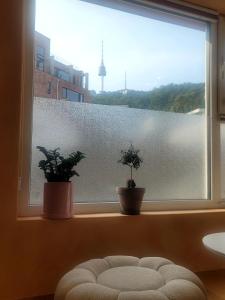 Palm Tree Villa Myeong-dong 301