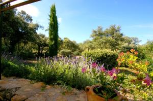 Ravissante Bastide Provencale 5 etoiles - Cadre idyllique - Piscine chauffée