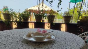 Turtle Beach House with free breakfast & wifi