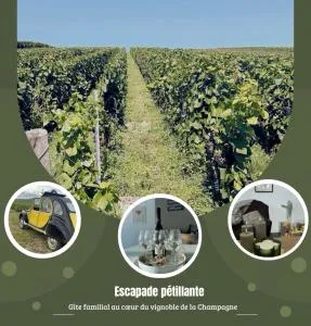 Gîte familial dans le vignoble champenois - 马恩河畔赫尔