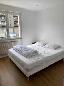 2BR 2 bathroom Geneva Tram 17
