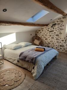 Maisons de vacances Les Gites du Saro : photos des chambres