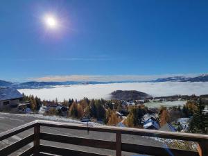 Chalets Chalet cosy 9 pers. avec balcon Sud, poele a bois, Wi-Fi, proche pistes - Saint-Michel-de-Chaillol - FR-1-393-143 : photos des chambres