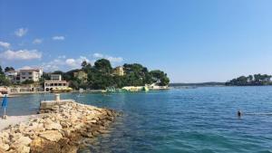 Apartment in Banjol with sea view, terrace, air conditioning, Wi-Fi (3803-1)