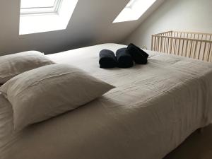 Duplex LOUIS Climatisé