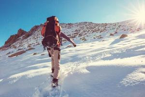 Maisons de vacances La Fleche 2 - Chalet Standing - Jacuzzi Privatif : photos des chambres