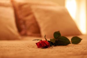 Appartements Love Room Perpignan Jacuzzi & Ambiance romantique : photos des chambres