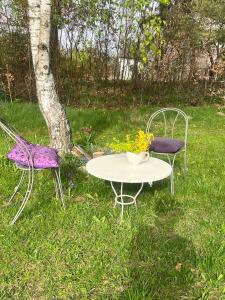 Studio dwupoziomowe Agroturystyka- Dorado-puszcza kampinoska
