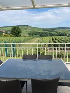 Les pieds dans la vallée - 马恩河畔赫尔