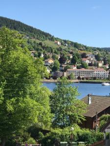 GERARDMER Rés Aubépine 100m du lac Appt 4 personnes