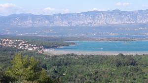 Mare