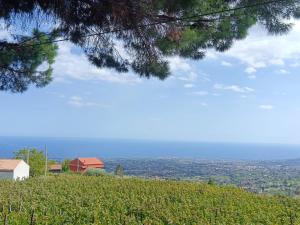 Etna Antico palmento