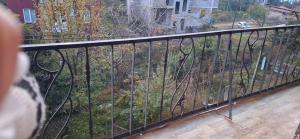 Green House Makhinjauri