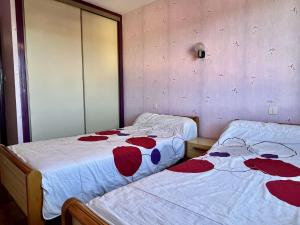 Appartement 2 pièces 4 couchages ARGELES SUR MER AR050-010