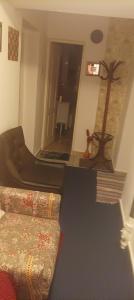 Apartament cu doua camere și grădină