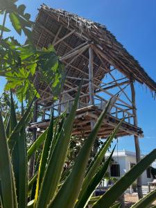 Sunset zanzibar lodge