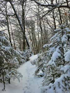 Die alte Schule Häuschen