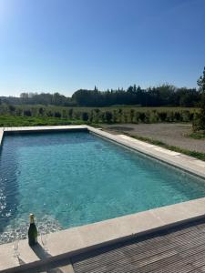 Charmante maison Provençale avec grand jardin