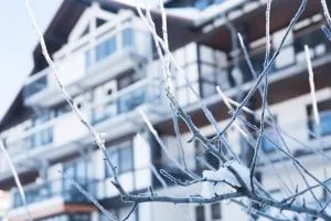 Hotel Tannenhof - 巴特温嫩贝格