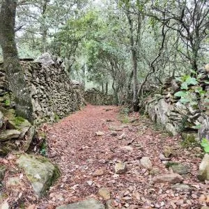 Els Sifons - San Felíu de Codinas