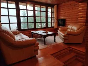 ''Nest'' The Wooden Suite by Ski Alure - Eptalofos