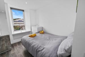 Cosy & Comfortable 2BR in Oban - Walk to Waterfront - 4hvězdičkové hotely ve městě Oban