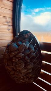 Tiny Glass lodge Experience The Nature