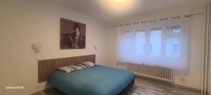 Appartements Strasbourg Centre Historique 15 mn en Tram et Aeroport Parking gratuit : photos des chambres